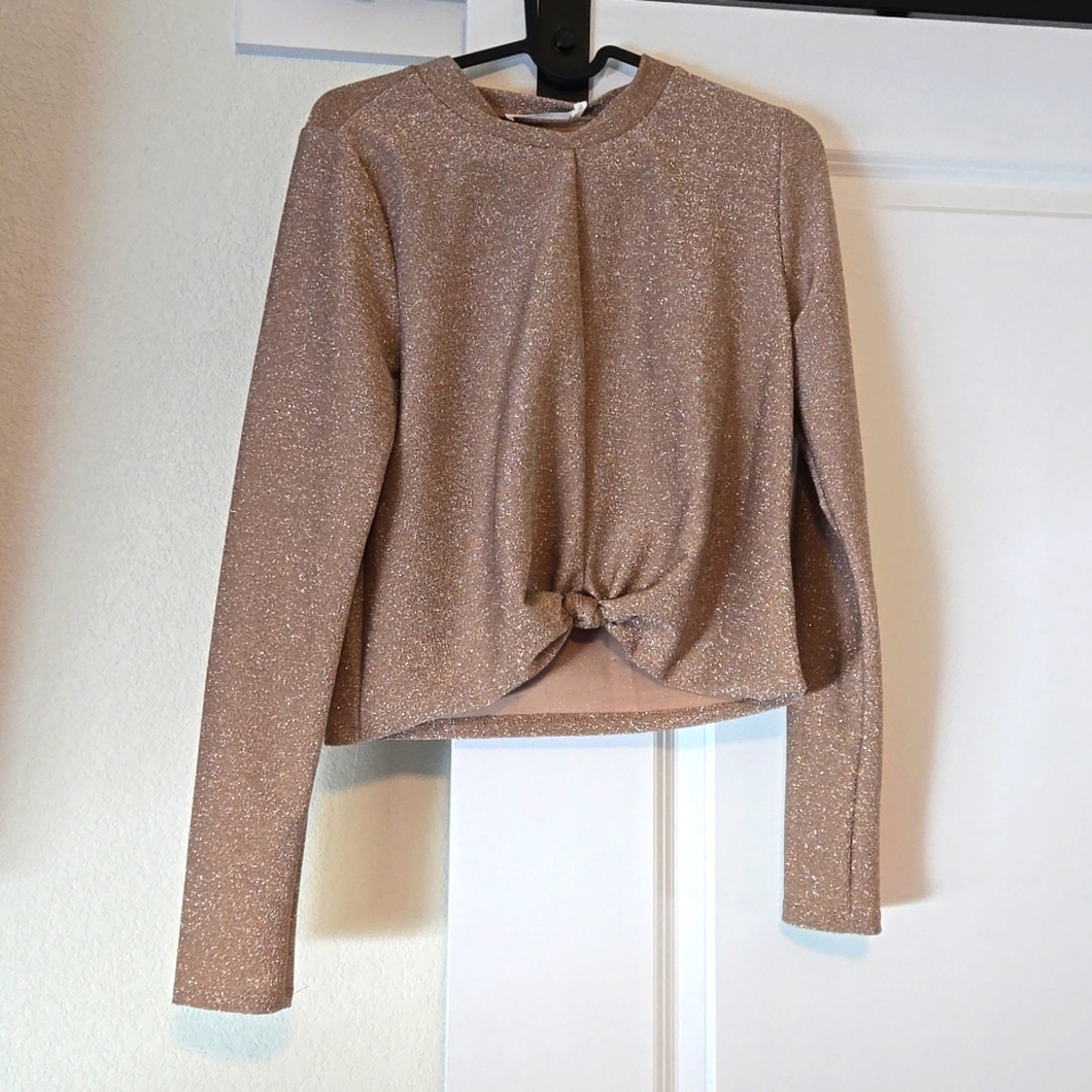 Lush Sparkly Top